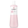 Activateur 2% Flacon applicateur Shinefinity / 1000ml