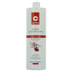Après-shampoing cheveux extra-secs / 1000ml