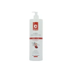 Après-shampoing cheveux extra-secs / 1000ml