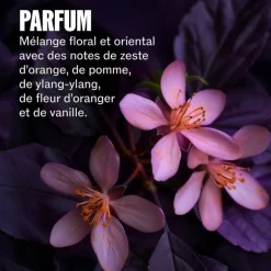 Après-shampoing Ultimate Color – anti-porosité, douceur, hydratation / 200ml