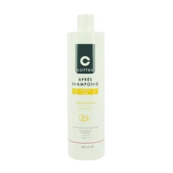 Après-shampooing cheveux secs / 500ml