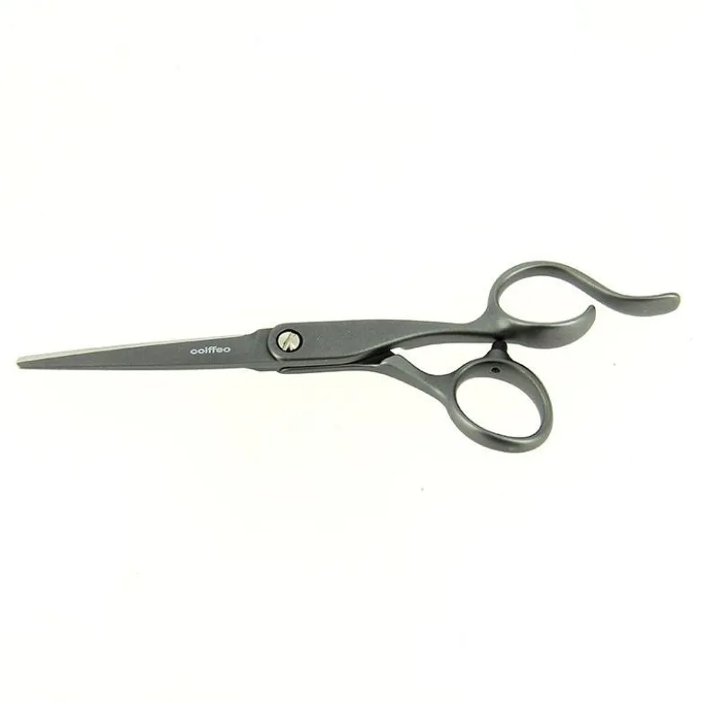 Ciseaux de coupe acier inox japonais - T5,5 Gun