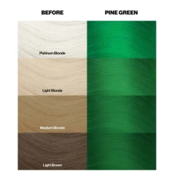 Coloration temporaire pine green n°46 / 100ml