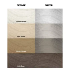 Coloration temporaire silver argent n°27 / 100ml