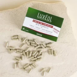 Complément alimentaire chute de cheveux réactionnelle - 3 mois / 41g