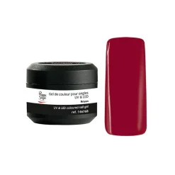 Gel de couleur UV & LED Technigel Color It Royan / 5g