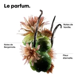 Huile réparatrice Absolut Repair Molecular – nutrition, anti-frisottis, brillance / 90ml