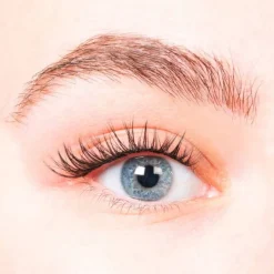 Kit extensions de cils à faire soi-même - Everyday natural - DIY LASHES