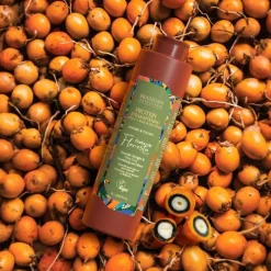 Lissage à base de Protéines Força Da Floresta / 1000ml