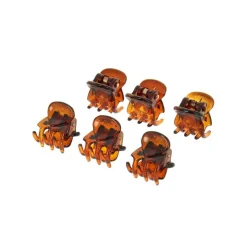 Mini pince marron x6