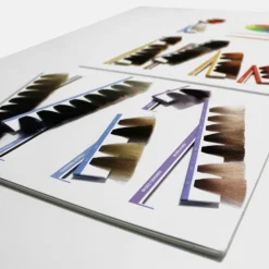Nuancier Color. – gamme complète, visualisation précise, accompagnement pro