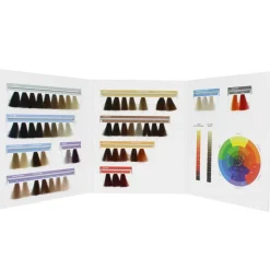 Nuancier Color. – gamme complète, visualisation précise, accompagnement pro