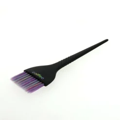 Pinceau de coloration rainbow