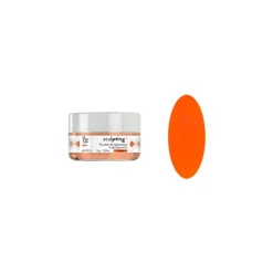 Poudre de façonnage Arty Orangeade / 10g