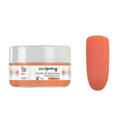 Poudre de façonnage Sculpting + Marine coral / 10g