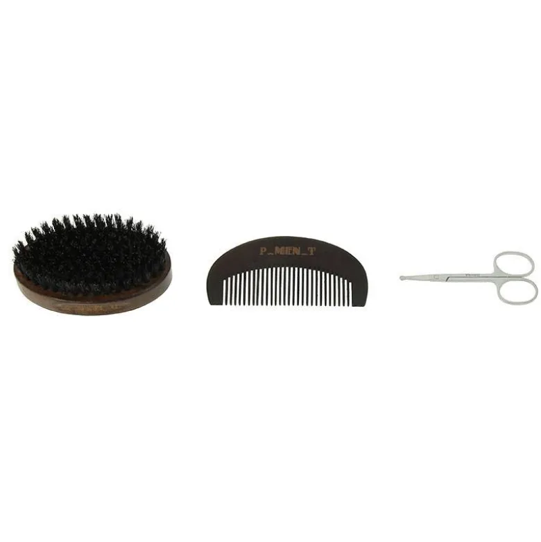 Set d'entretien barbe (ciseaux + peigne + brosse)