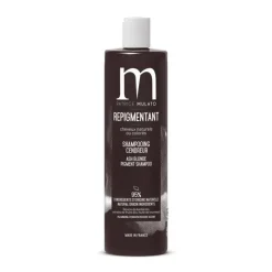 Shampoing Repigmentant Cendreur / 500ml