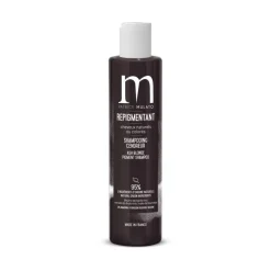 Shampoing Repigmentant Cendreur / 200ml