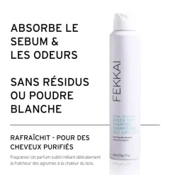 Shampoing sec invisible Clean Stylers / 200ml