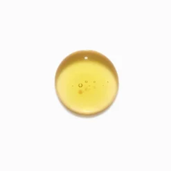 Shampoing sublimant Bain Elixir Ultime – brillance, nutrition, légèreté / 250ml