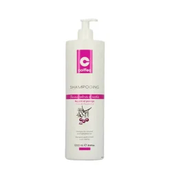 Shampooing cheveux colorés / 1000ml