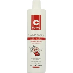 Shampooing cheveux extra-secs / 500ml