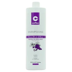 Shampooing déjaunisseur / 1000ml