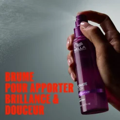 Spray brillance Ultimate Color – éclat, douceur, protection couleur / 95ml