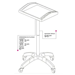 Table de service plateau Grise transparente 39.5x32.5x6cm