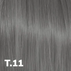 Toner .11 Anti-Jaunissement Cendre / 60ml