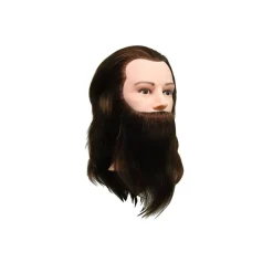 Tête d'étude Louis