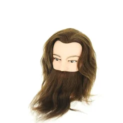 Tête d'étude Louis