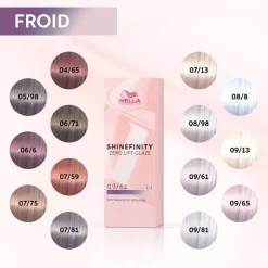 Vernis coloré Shinefinity semi-permanent / 60ml